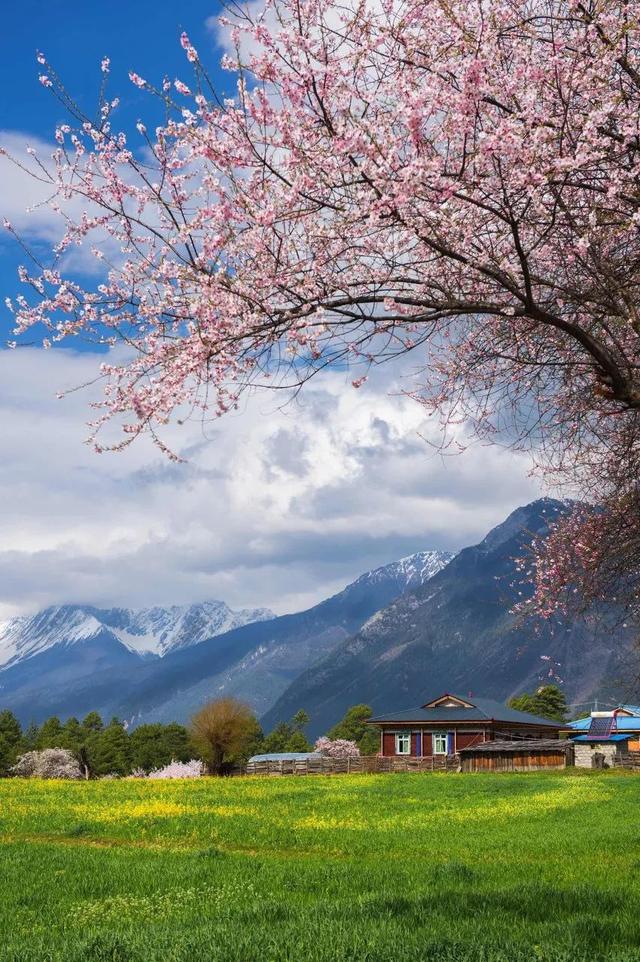 318旅行沿途风景地图，不期而遇的风景向你扑面而来……