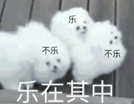 旅游管理专业排名，适合女生学的十大专业排名（最新排名、2022软科公布学科榜）