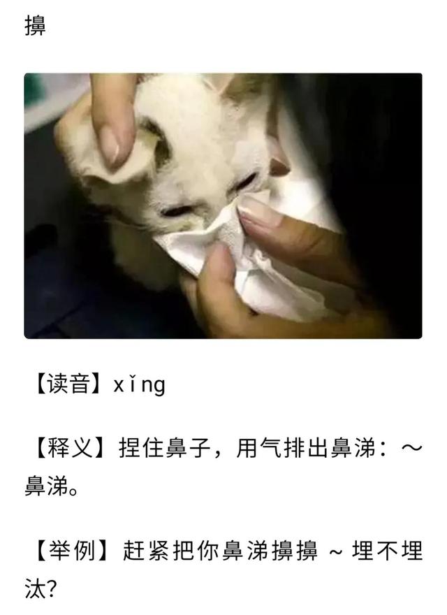 矜持怎么读，矜持怎么读啥意思（你知道鲁西南方言这些生僻字吗）