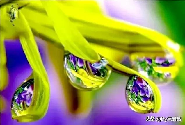 词语搭配什么的小水珠，什么的小水珠填上恰当的词语（晶莹剔透的小水珠）