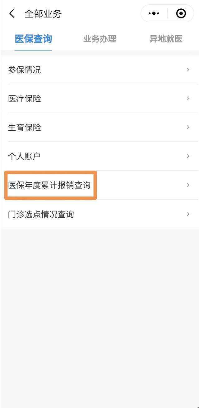 医保查询个人账户明细，怎么查询医保卡个人账户明细（如何在线查询医保参保信息、缴费记录和使用明细）