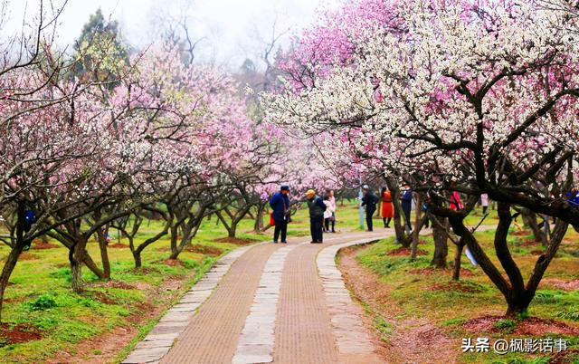 3月旅游的最佳地点，3月去什么地方旅游最好呢（三月份旅游一定要去的六个地方）