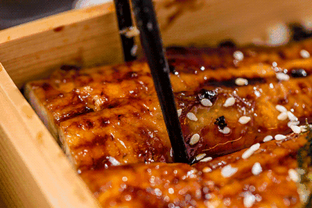 鳗鱼怎么杀，鳗鱼怎么烧好吃又营养（成就一口鳗鱼的完美）