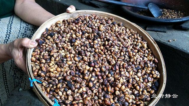 猫屎咖啡的价格，猫屎咖啡多少钱一杯（印尼巴厘岛旅游）