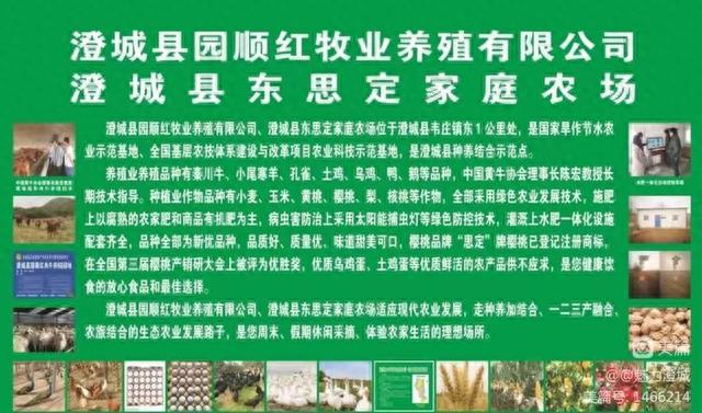 澄城县韦庄镇：“相约东庄•醉美桃花节”邀您前来