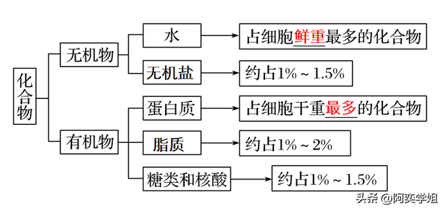 中性粒细胞正常值范围百分比，中性粒细胞百分比多少算正常（细胞中的元素和化合物）