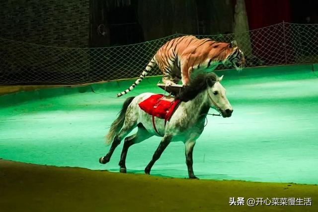 广西贵港旅游攻略，盘点20个值得一去的好地方