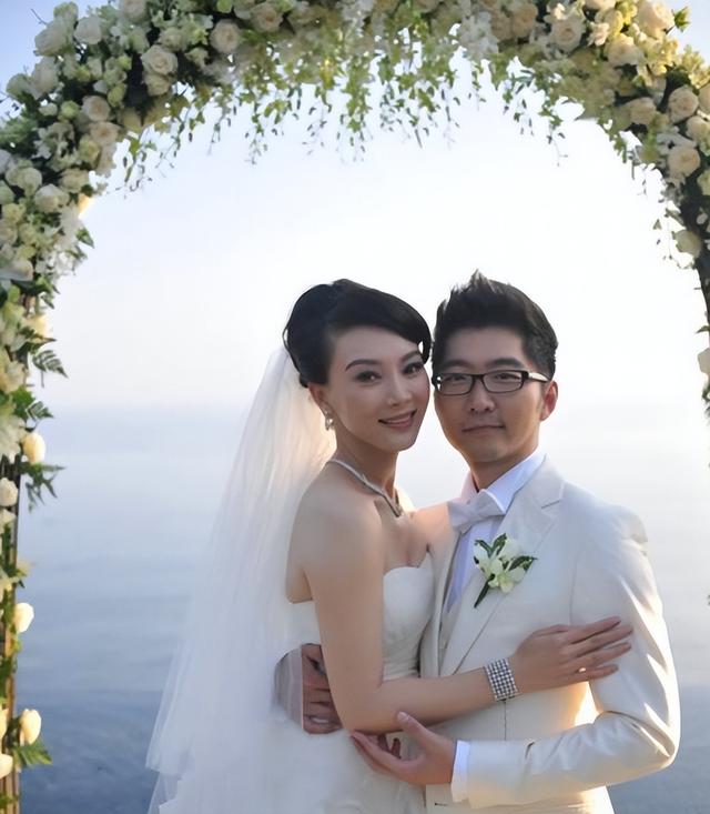 陈数的丈夫是何人，陈数：结婚12年未生育