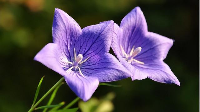 潢川特色餐馆推荐，潢川美食有哪些（这几种信阳土特产闻名全国）