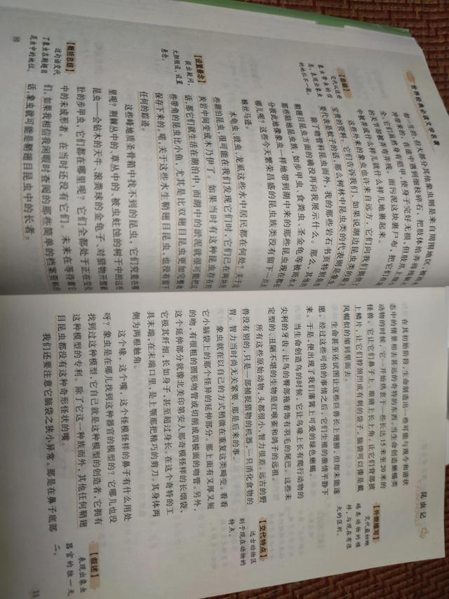 老象虫的外形特点，老象虫外表有何特点（一起读书——《昆虫记》）
