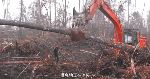 又霸气又高冷的图片 在这座欲望的城市，你是我最后的信仰，又霸气又高冷的图片带字（灾难成现实才知道后悔）