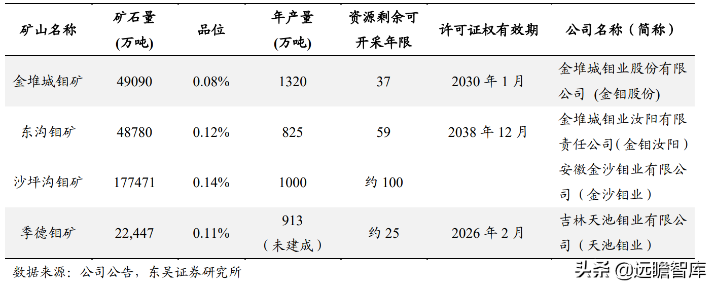 中色宁夏东方集团（钼价进一步上涨）