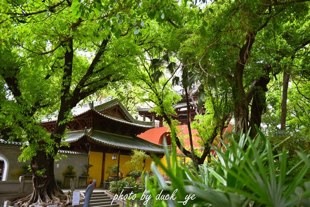 广州的别称，广州的别称穗怎么读（广州闹市区内的清静古观藏“岭南第一楼”）