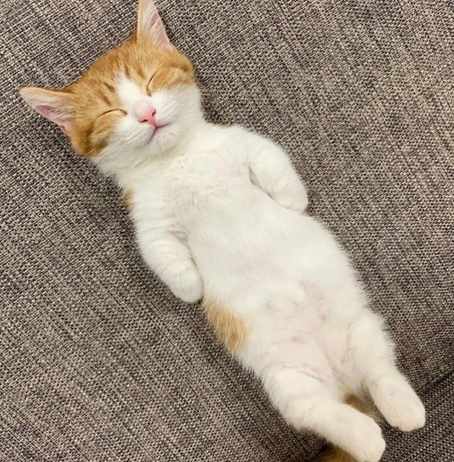 七种促进睡眠的好方法，促进睡眠的好方法（有什么好的方法可以有助睡眠呢）