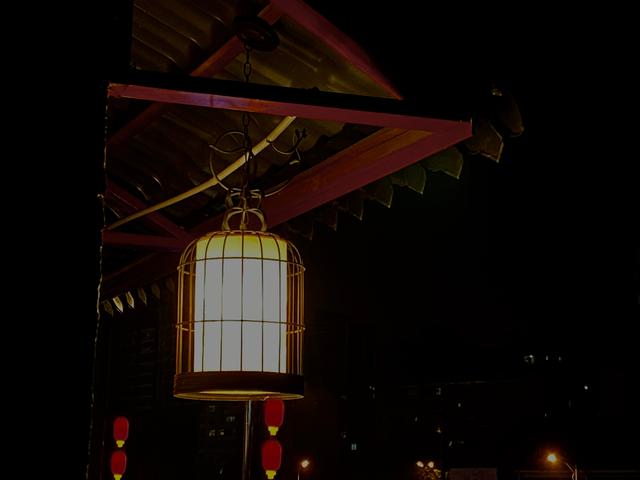 上海电力大学是985还是211大学，2020上海电力大学是211和985大学吗（电网招聘的这些特点你应该要知道的）