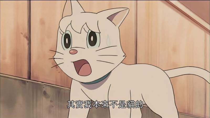 静香和一只流浪猫