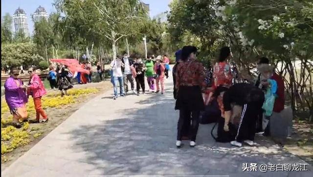 哈尔滨群力湿地公园，群力新区十一大公园