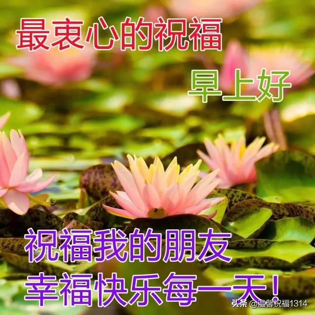 岁月静好短句八个字，岁月静好的唯美八字短句（6月7日早安问候）