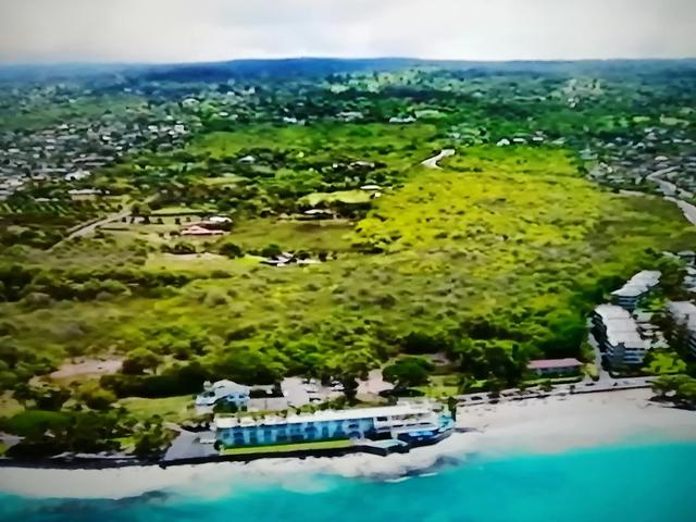 什么的原始森林填合适的词，填形容词什么的原始森林（美丽的大自然）