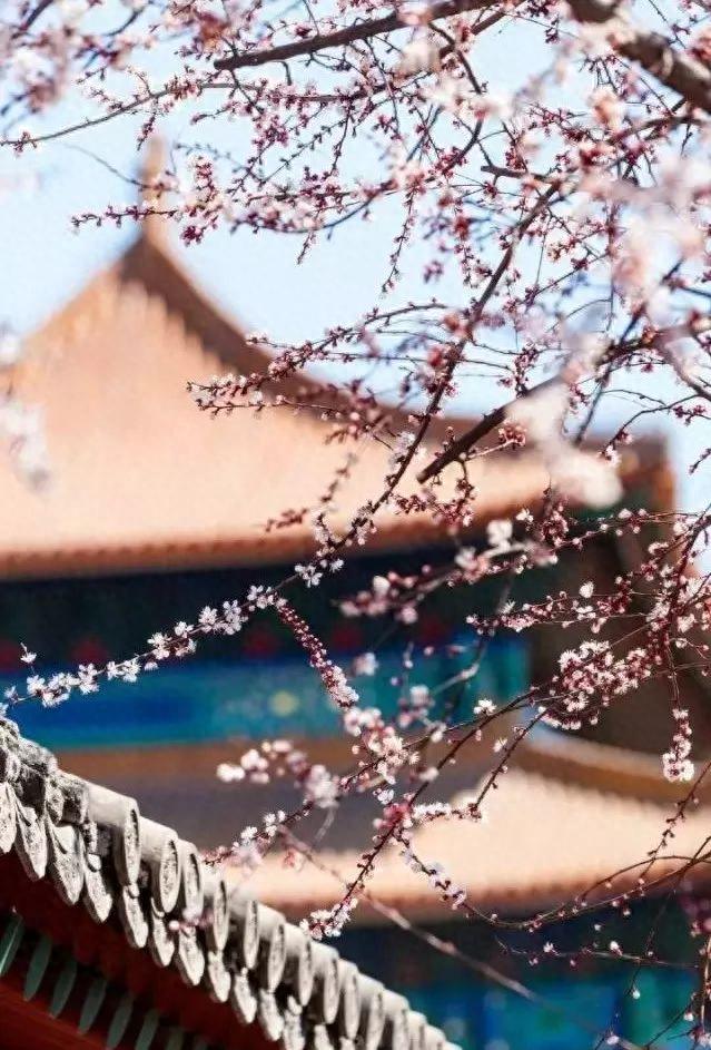 全球十大最美春天旅行地