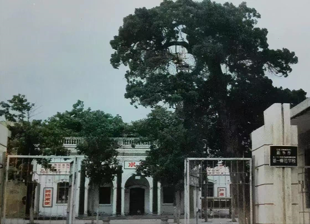 大学的教育对于人生有着怎样的作用，你认为大学教育有多重要（从中师生到登上大学讲坛）
