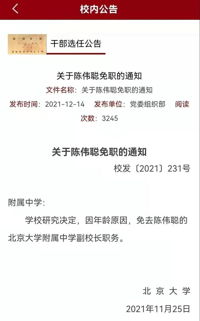 新东方老师怎么样，王铮老师咨询费多少（中国还会有第二个王铮吗）