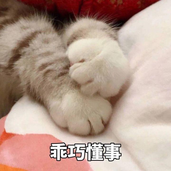 好看的表情包(10000种表情包图片大全)