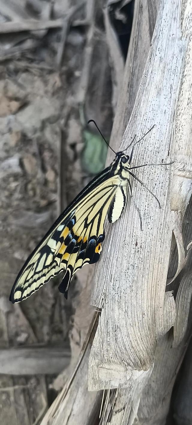 佛法修心口诀，禅宗心法口诀（修心不知如何修）