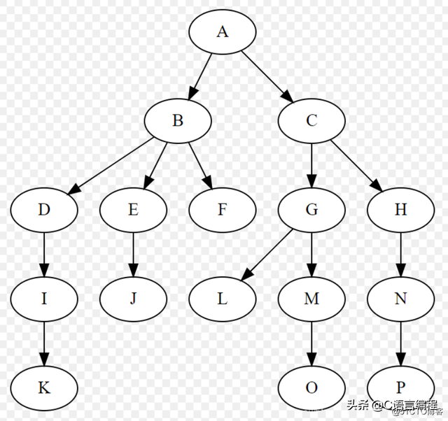 二叉树的深度和高度有什么区别，二叉树的高度与深度（C语言数据结构：什么是树）