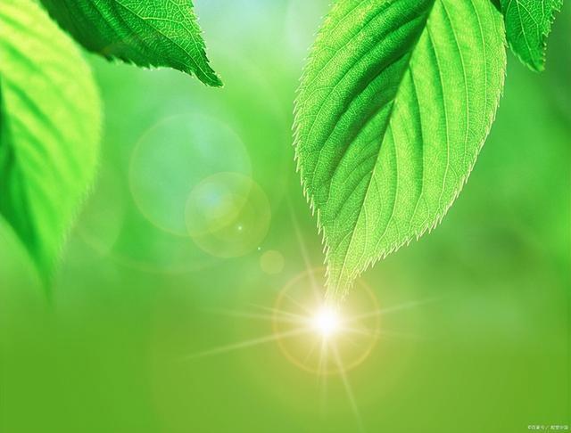 氧气可以做燃料吗，空气中氧气可以做燃料吗（答疑：氧气可以燃烧吗）