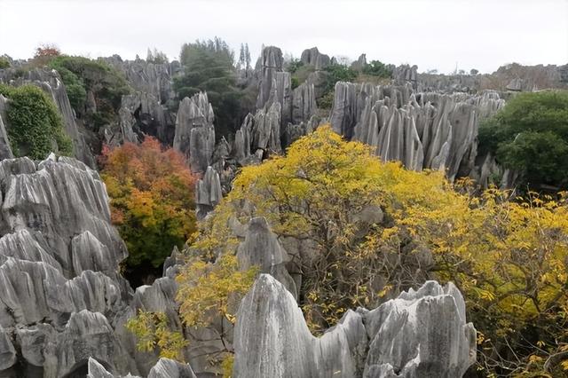 昆明哪些地方好玩，昆明好玩的地方有哪些（中国昆明具有吸引力的7个旅游地方）