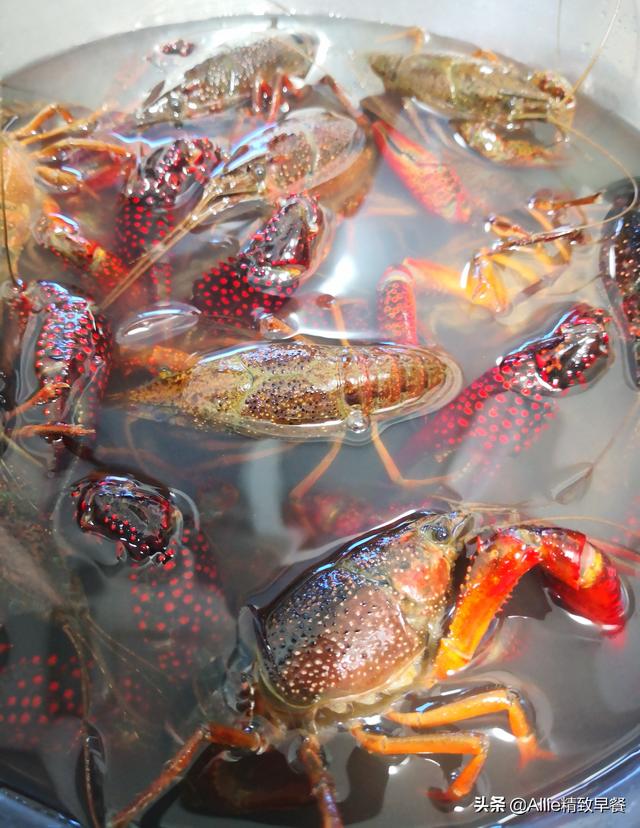 煮小龙虾的方法和教程，如何煮小龙虾好吃又简单（从挑到煮超详细分享）