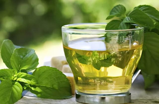 碧螺春的功效与作用，铁观音的功效与作用（一年四季应喝什么茶）