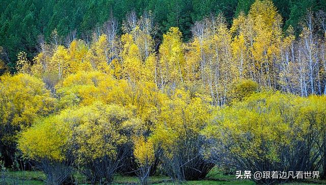 阿尔山的风景，《走进内蒙》景色迷人