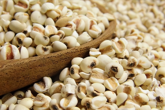 薏仁米怎么吃，薏米怎么煮好吃（薏米不一定只能煮红豆粥）
