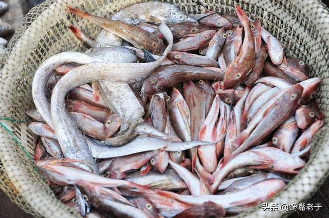 海鱼怎么做好吃，鱼怎么弄才好吃呢（买海鱼：这5种可以多买着吃）