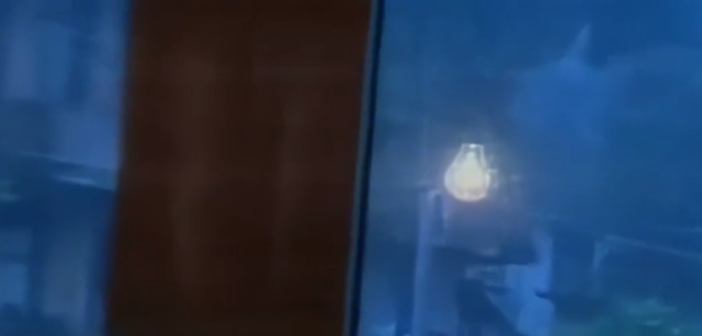 多看看 灵异故事之看房子，多看看外面的世界（福州胜利村荒弃多年老宅）