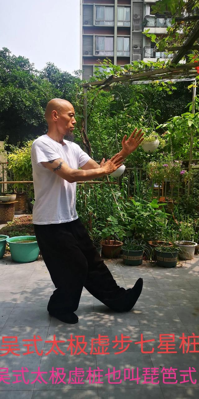 太极拳入门自学教程，学太极拳从零开始视频教学（初学太极拳入门）