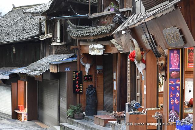 黔南布依族苗族州，娃娃鱼图片大全大图