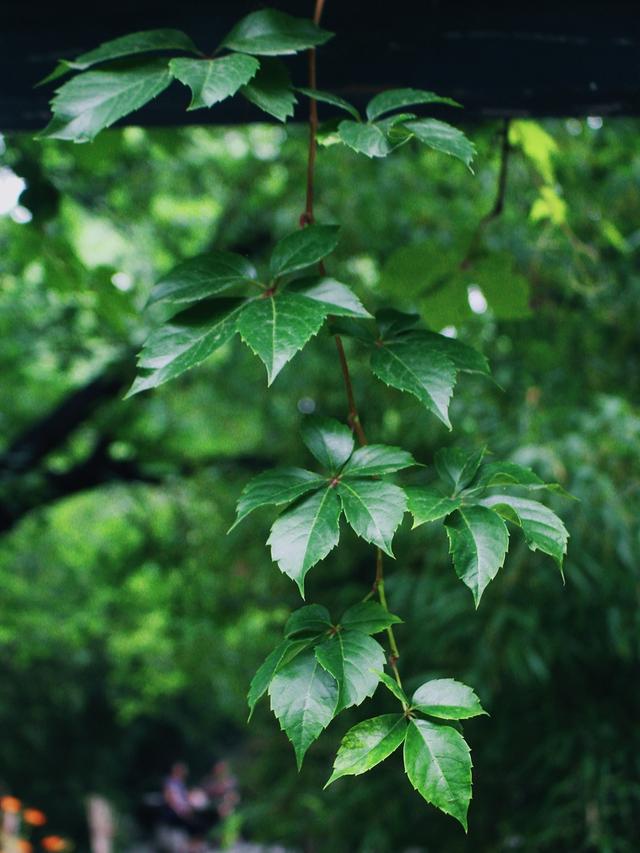 甄嬛传、上错花轿嫁对郎拍摄地！北京这个景区你去过吗？