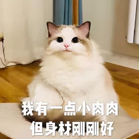 什么是辟谷辟谷的正确方法，徐峥通过“辟谷”成功减肥二十斤