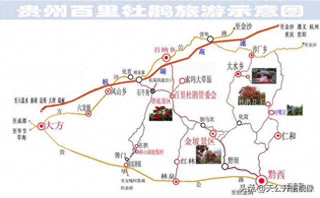 百里杜鹃旅游攻略，简明扼要，供旅友们参考