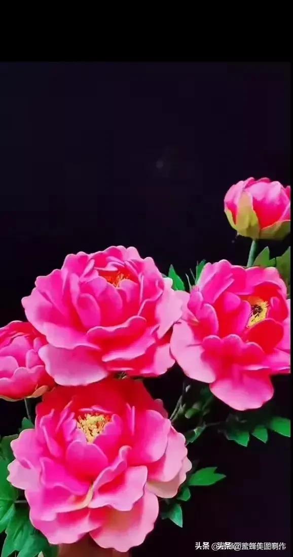 七夕节的图片，七夕浪漫情人节，玫瑰壁纸（七夕节的图片）