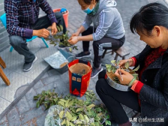 扬州市哪个区比较繁华，扬州市哪个区比较繁华点（你好，瓜洲，重新认识一下）
