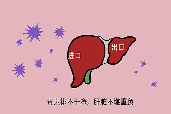 谷丙转氨酶是什么，谷草转氨酶是什么检查（为何谷丙转氨酶会升高）