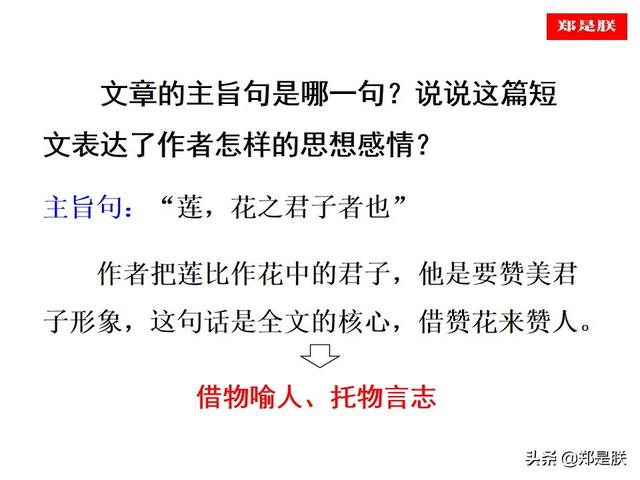爱莲说原文朗读，爱莲说拼音版原文（部编人教版七年级语文下第17课《爱莲说》周敦颐-诵读+课件）