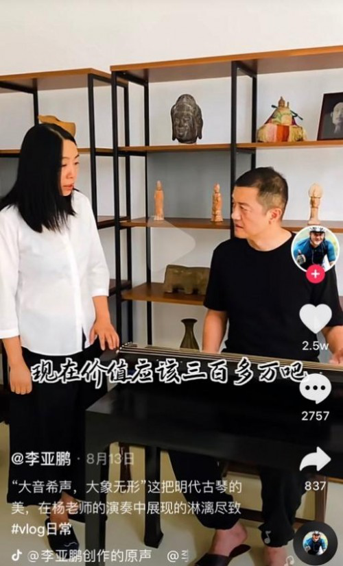 王菲李亚鹏离婚原因，李亚鹏王菲婚姻状况（王菲离婚的原因终于找到了）