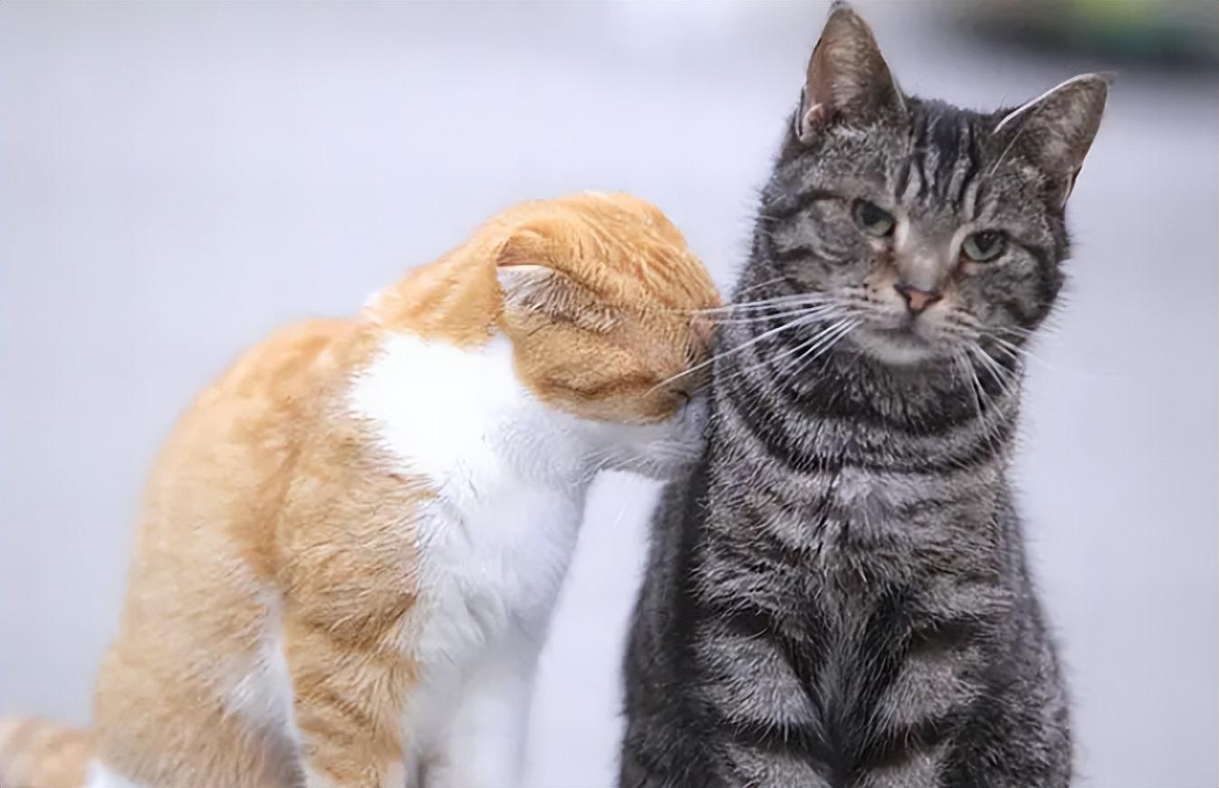 如何证明夫妻感情破裂（关系破裂前）