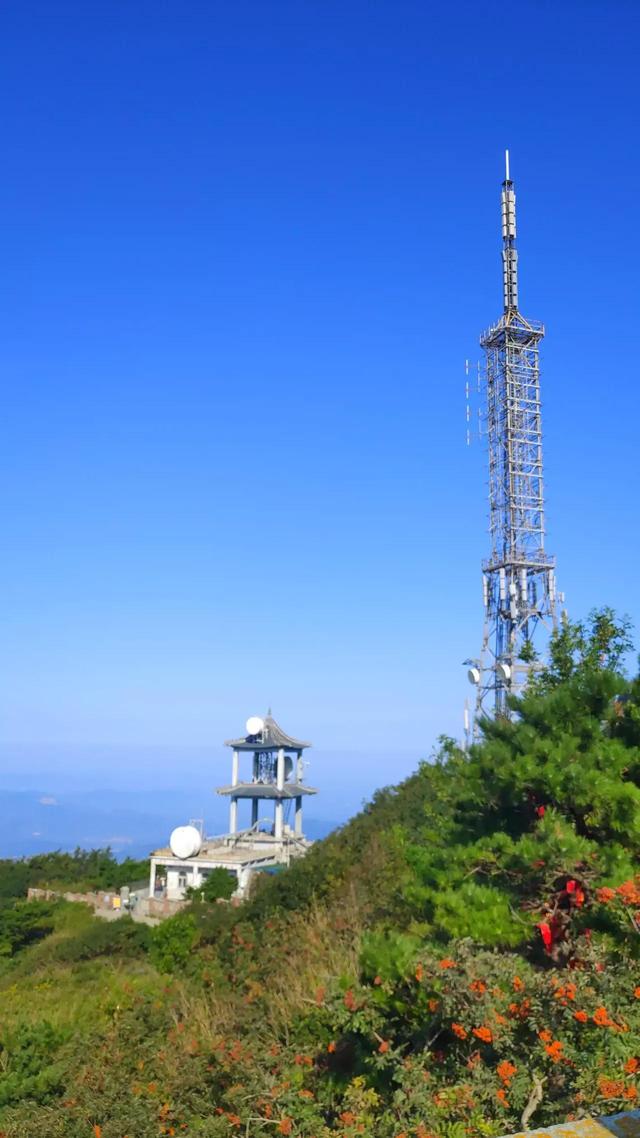 山东农业大学在哪，山东农业大学有哪些专业（被青岛很多家长们低估的省内名校——泰安的山东农业大学）