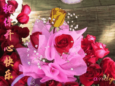 999朵玫瑰，送你999朵动态玫瑰花（999朵玫瑰邰正宵）